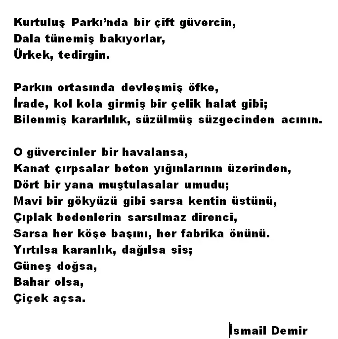 İsmail Demir adlı kişinin destek fotoğrafı